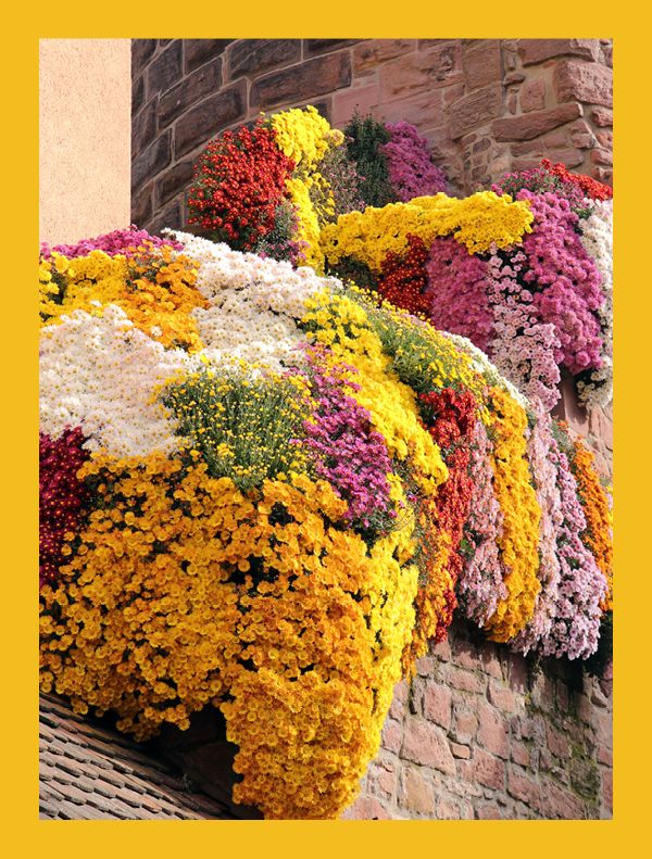 Farbtrends-2021 Farbtrends-2021