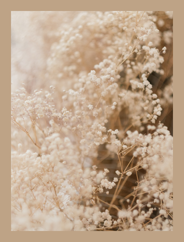 Farbtrends-2021 Farbtrends-2021