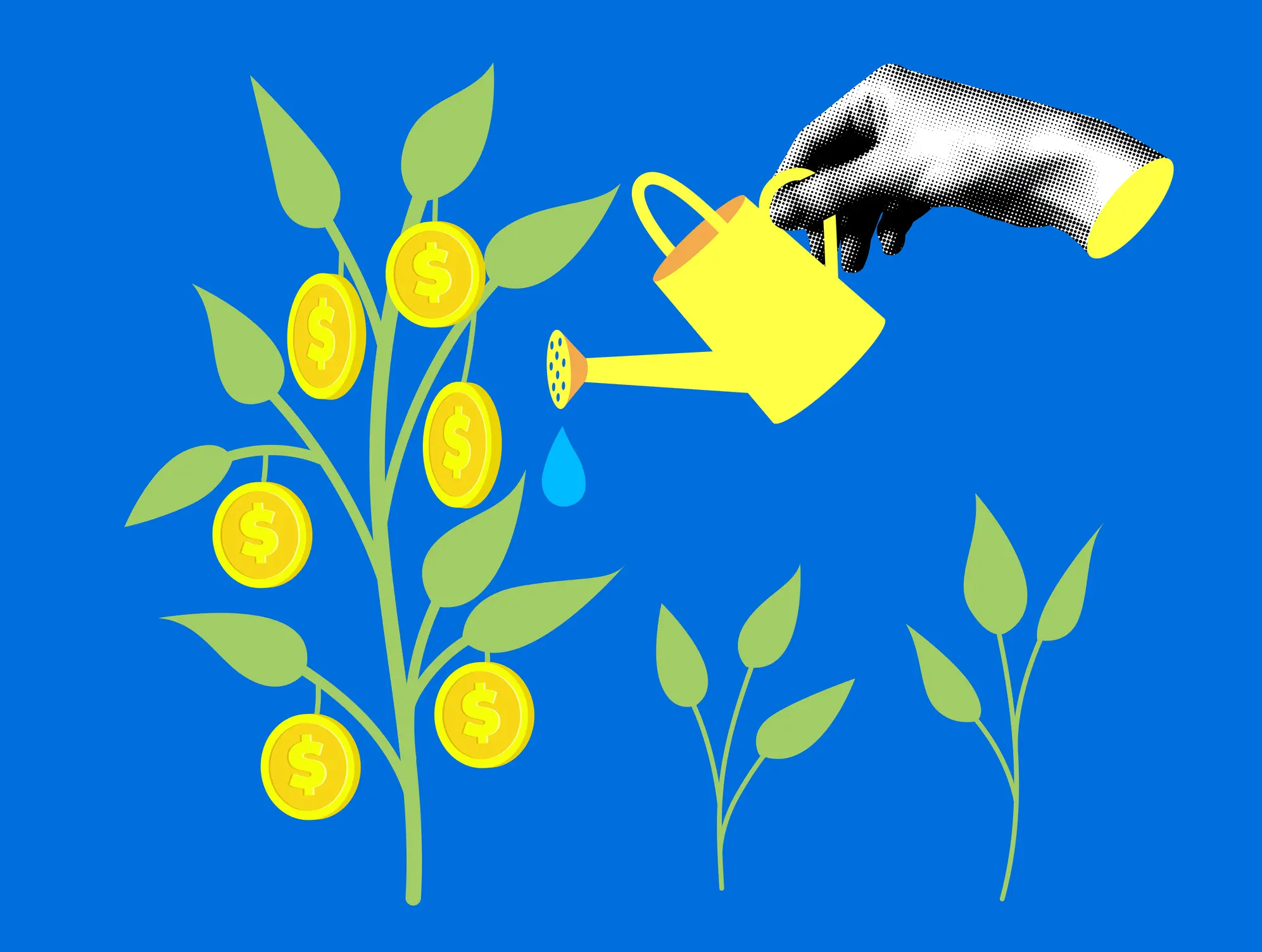 Fördermöglichkeiten für barrierefreie Websites clever nutzen – So unterstützen Bund und Länder Ihre Investition