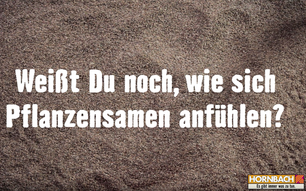 Kopfkribbeln oder nicht?