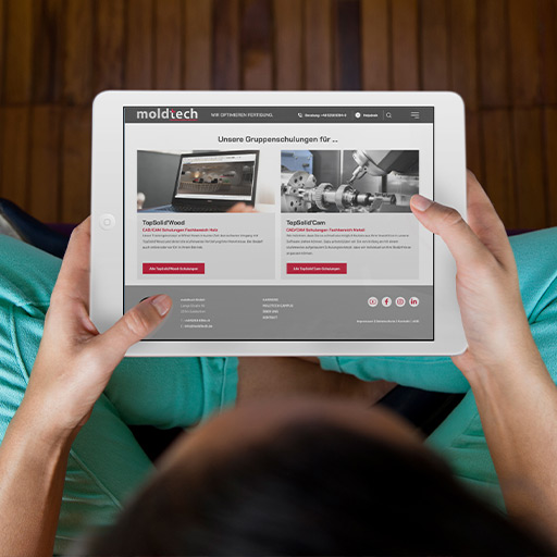 Moldtech Web