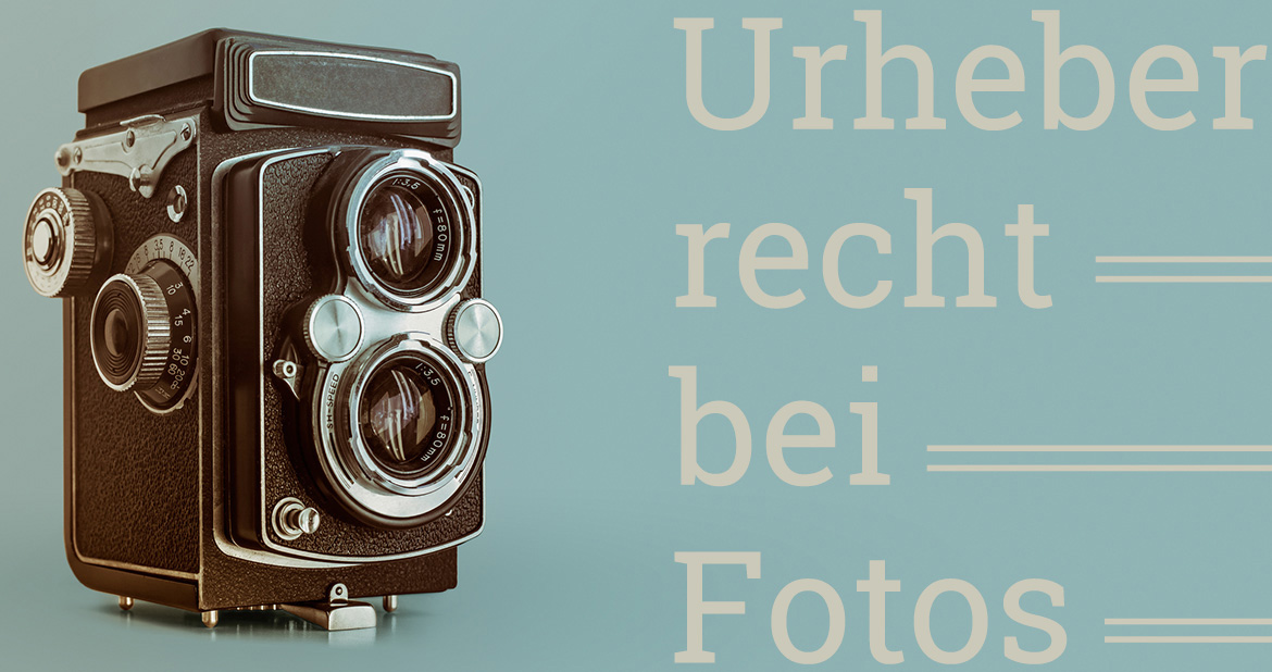 Im Dschungel der Bildrechte