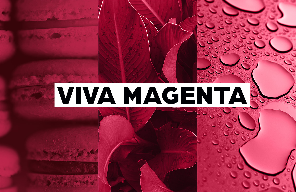 Viva Magenta – Hoch lebe die Farbe des Jahres 2023