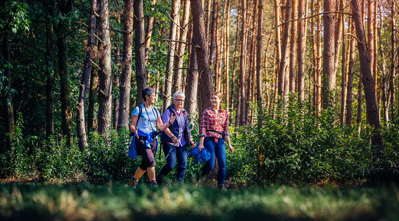 Erster Heilwald in NRW – Heilwald Bad Lippspringe